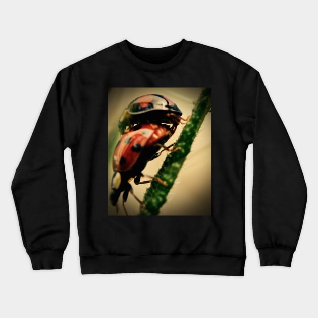 BEETLE SEX Crewneck Sweatshirt by dumbodancer